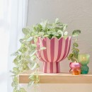 Lucy-Stripe-Footed-Planter-by-MUSE Sale