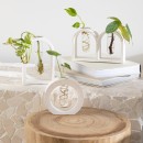 Eddie-Vase-by-MUSE Sale