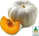 Australian-Grey-Pumpkin Sale