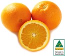 Australian-Navel-Oranges Sale