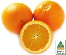 Australian-Navel-Oranges Sale
