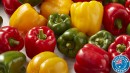 Australian-Red-Green-or-Yellow-Capsicums Sale