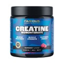Famous-Nutrition-Creatine-300g Sale