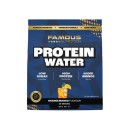 Famous-Nutrition-Protein-Water-300g Sale