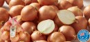 Coles-Australian-Brown-Onions-1kg-Bag Sale
