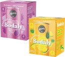 Remedy-Sodaly-4x250mL Sale