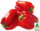 Australian-Red-Capsicum Sale
