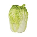 Australian-Whole-Wombok Sale