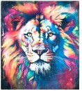 Lion-Blanket Sale