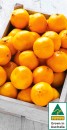 Australian-Mandarins Sale