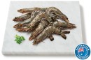 Coles-Australian-Thawed-Raw-Extra-Large-Black-Tiger-Prawns Sale