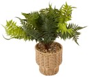 Artificial-Fern-in-Pot Sale