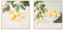 2-Pack-Lemon-Framed-Canvas Sale