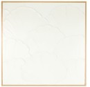 Textured-Shell-Framed-Canvas Sale