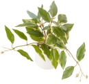 Artificial-Two-Tone-Trailing-Plant Sale