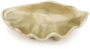 Shell-Trinket-Dish Sale