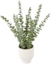 Artificial-Eucalyptus-in-Pot Sale