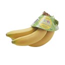 Australian-Kids-Mini-Bananas-Pk-5 Sale