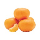 Australian-Amorette-Mandarins Sale