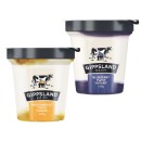 Gippsland-Dairy-Twist-Yoghurt-160g Sale