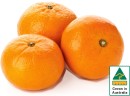 Australian-Mandarins Sale