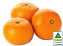 Australian-Mandarins Sale