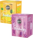 Remedy-Sodaly-4x250mL Sale