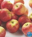 Australian-Kanzi-Apples Sale