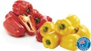 Australian-Red-or-Yellow-Capsicums Sale