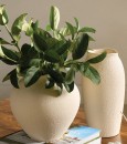 Australian-House-Garden-Peninsula-Textured-Ceramic-Vases Sale