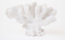 Australian-House-Garden-Atolle-Coral-Object Sale