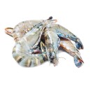 Thawed-Large-Australian-Green-Tiger-Prawns Sale