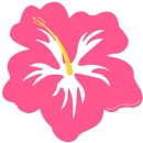 Cutout-Hibiscus-Pink-Ea Sale