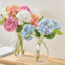 Budding-Hydrangea-Stem-by-MUSE Sale