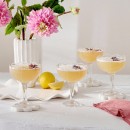 Lilly-Cocktail-Coupe-4-Pack-by-MUSE Sale