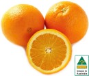 Australian-Navel-Oranges Sale