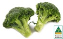 Australian-Broccoli Sale