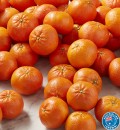 Australian-Afourer-Mandarins Sale