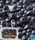 Australian-Eureka-Blueberries-200g-Punnet Sale