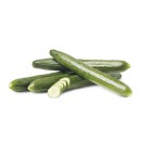 Australian-Continental-Cucumber Sale