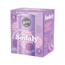 Remedy-Sodaly-4-x-250ml Sale
