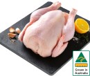 Australian-Free-Range-Whole-Fresh-Chicken Sale