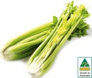 Australian-Celery-Bunch Sale