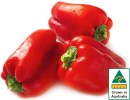 Australian-Red-Capsicum Sale