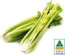 Australian-Celery-Bunch Sale