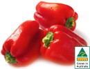 Australian-Red-Capsicum Sale