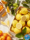 Australian-Loose-Lemons Sale