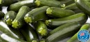 Australian-Green-Zucchini Sale