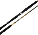 20-off-Daiwa-Seabass-Surf-Rods Sale