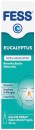 Fess-Eucalyptus-Saline-Nasal-Spray-30mL Sale